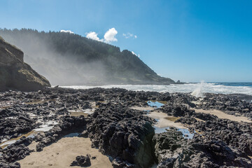 Untouched coastal landscape of Oregon