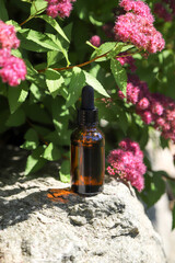 Skincare brown glass bottle container with dropper on natural stone with pink flowers. Photo with selective focus