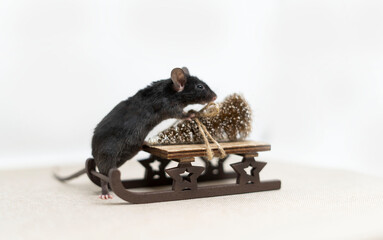 Cute little mouse rodent riding a wooden sleigh with a golden Christmas tree. The concept of the New Year. Space for copying.