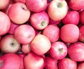 fresh red and yellow apples of the new harvest on the supermarket counter