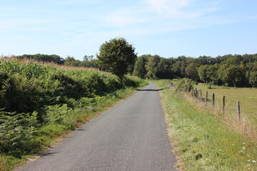 view of country road at summer,  Rochechouart, France
