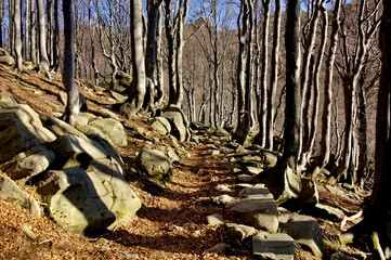 Paesaggio autunnale 02