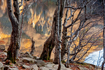 Paesaggio autunnale 01