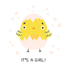 Cute yellow chicken hatched out of the egg. It’s a girl! Baby in the family. Newborn little yellow cartoon chick for Easter design. Cartoon vector illustration.