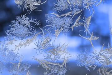 New Year and Christmas abstract icy snowy background with real ice crystals macro in cold blue tones