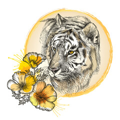 Hand-drawn graphic sketch of Siberian or Amur tiger head and orange flowers isolated on white background. 