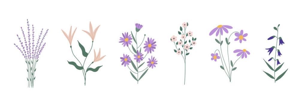 Botanical set of garden floral plants. Colorful flat vector illustration