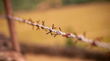 barbed wire on a fence