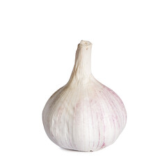 Fototapeta premium Whole light garlic in husk isolated on white background.