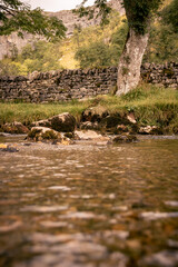 Mossy rocks in a stream