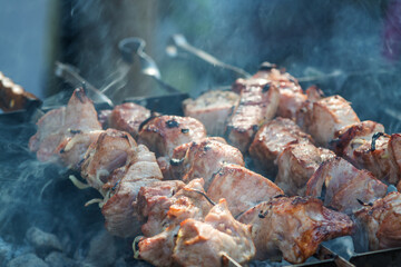 close-up of some meat skewers grilled in a barbecue