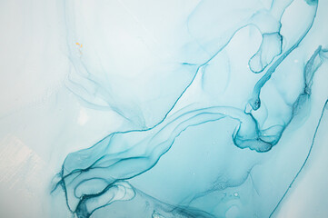 Fototapeta na wymiar Vibrant Abstract Background Liquid. Alcohol Inks