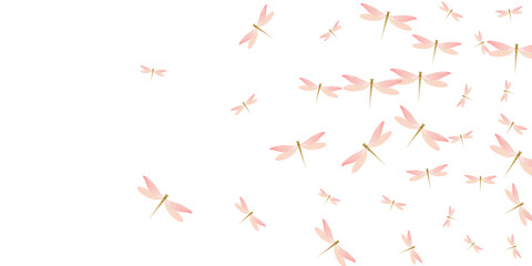 Magic rosy pink dragonfly isolated vector illustration. Summer colorful insects. Detailed dragonfly isolated baby background. Gentle wings damselflies patten. Nature beings