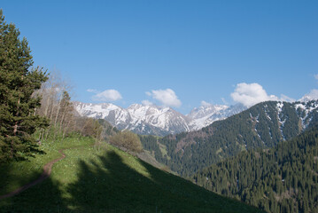 Obraz premium famous kok-zhailau hiking trail near almaty, kazakhstan