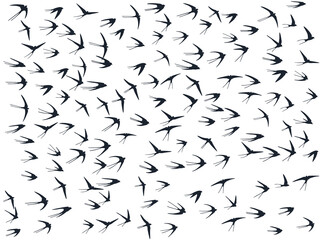Flying martlet birds silhouettes vector illustration. Migratory martlets flock isolated on white.