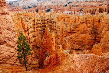 red canyon - unreal scenery and constellation of rocks in the united states of america