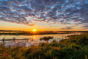 Fototapeta na wymiar Summer sunrise on the river, Pskov region, Russia 
