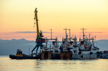 Fototapeta na wymiar Kamchatka Peninsula, Russia. Seaport in Petropavlovsk-Kamchatsky. Fishing ships unloading