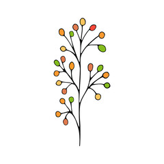 Handmade doodle flower and twig elements. Spring and autumn theme. botanical vector of flowers and plants in calligraphy or contour style. Social media highlights can be used to cover the story