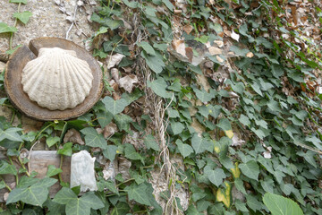 Les chemins de grandes randonn&eacute;es en France et en Europe. Le chemin de Paris &agrave; Compostelle. Voyage &agrave; travers le temps.