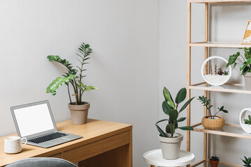 Modern workplace with laptop, shelving unit and houseplants in room