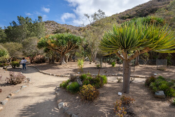 Wrigley Memorial & Botanic Garden
