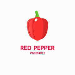 Illustration of a pepper in a modern style. Isolated image on a light background. Vector icon.