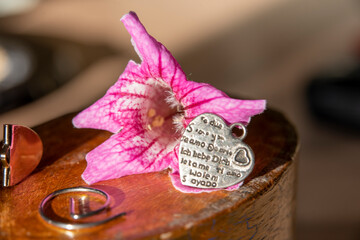 Colorful flowers with striking tones that stand out for their vividness and luminosity