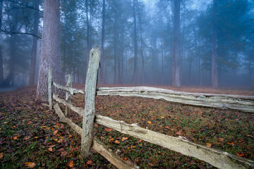 Rustic wooden fence and fallen leaves in misty forest