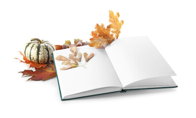 Blank book, autumn leaves and pumpkin on white background