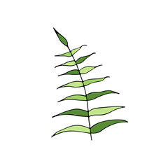 Handmade doodle flower and twig elements. Spring and autumn theme. botanical vector of flowers and plants in calligraphy or contour style. Social media highlights can be used to cover the story