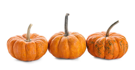Fresh pumpkins isolated on white background