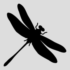 Dragonfly vector icon. An isolated flat icon illustration of dragonfly with nobody.