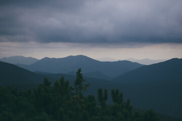 Obraz na płótnie Canvas mountain scenery. Carpathians. Carpathian Mountains. mountains overgrown with forests