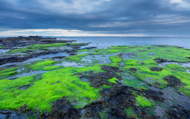 Isle of Arran, Scotland: Coastline with seaweed in the blue hour after sunset.