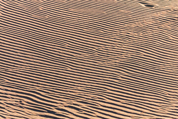 Sand ripple waves in the desert or on the beach on sunny day. Sandy desert abstract texture background at sunset. Windy day.