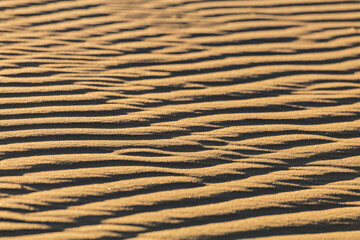 Sand ripple waves in the desert or on the beach on sunny day. Sandy desert abstract texture background at sunset. Windy day.