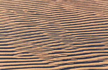 Sand ripple waves in the desert or on the beach on sunny day. Sandy desert abstract texture background at sunset. Windy day.