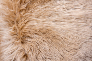 Fur texture top view. Brown fur background. Fur pattern. Texture of brown shaggy fur. Wool texture. Flaffy sheepskin close up
