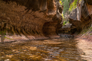 Magnificent Subway gorge landmark in the Zion National Park in Utah