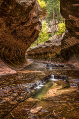 Magnificent Subway gorge landmark in the Zion National Park in Utah