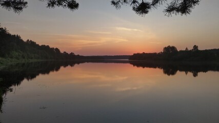 The colorful sky before sunrise and the forest growing on the banks are reflected in the calm water of the river. Branches of a pine tree growing on the shore hang over the water