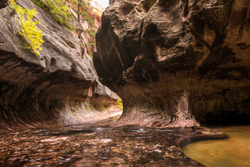 Magnificent Subway gorge landmark in the Zion National Park in Utah