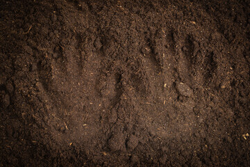 Woman hand trace on a ground.