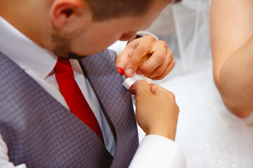 Beautiful and romantic wedding, groom and bride! Family and Braque.