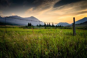 A wire fence on a working ranch at sunset in Crowsnest Pass Alberta Canada.