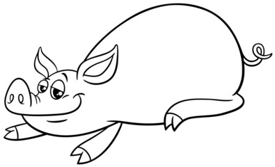 cartoon pig funny farm animal character coloring book page
