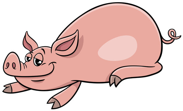 cartoon pig funny farm animal character
