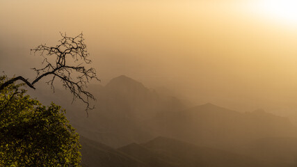Misty Dawn at Jabal Samhan. A solitary tree stands before the misty layers of Jabal Samhan's...