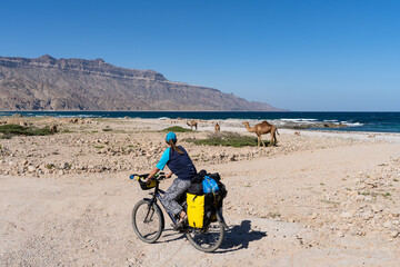 Fototapeta premium Cyclist and camels on beach, Salalah, Dhofar, Oman